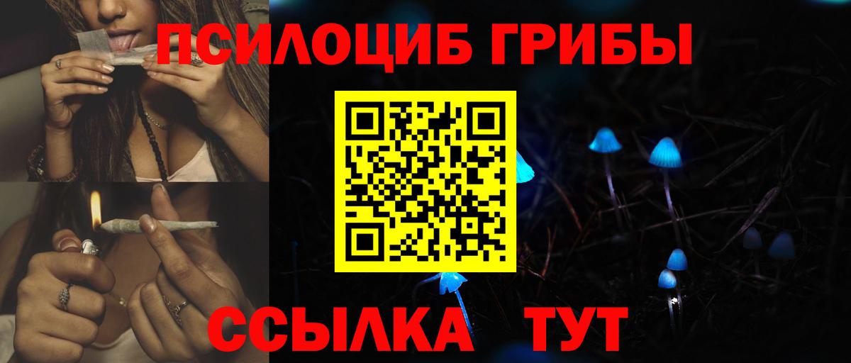 Северодвинск  Псилоцибиновые грибы мухоморы  Вход с VPN 
